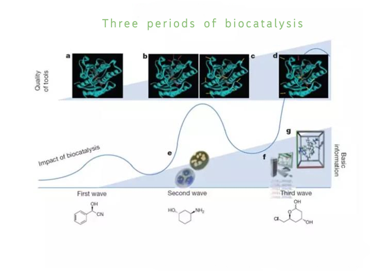 Three periods of biocatalysis