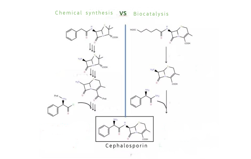 Chemical synthesis VS Biocatalysis