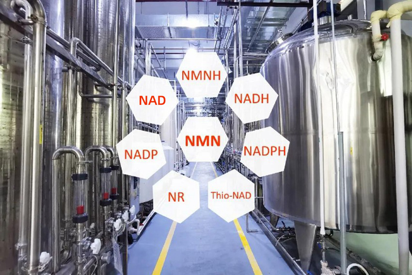 NAD raw material manufacturer