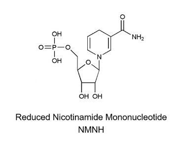 Dihydro nicotinamide mononucleotide (NMNH)