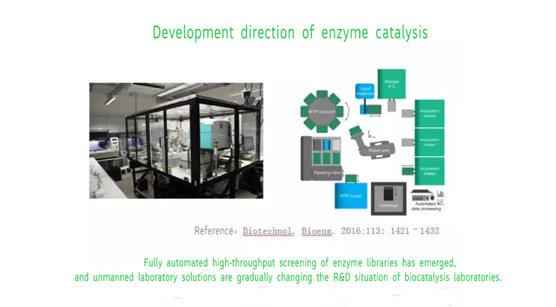 Biological enzyme catalysis promotes the development of green synthetic industry