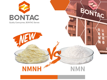 NMNH is a more effective anti-aging material than NMN, Bontac world debut and mass production
