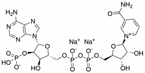 NADP（原料）    <span>β-烟酰胺腺嘌呤二核苷酸磷酸二钠盐（氧化型）</span>