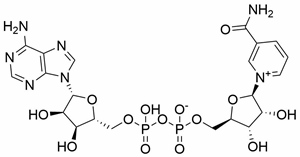 NAD    <span>β-nicotinamide adenine dinucleotide (oxidized form)</span>
