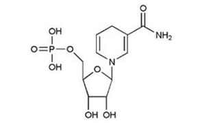 NMNH <span>还原型烟酰胺单核苷酸</span>