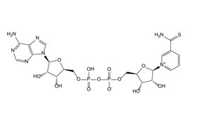 Thio-NAD（原料）    <span>硫代氧化型辅酶Ⅰ</span>