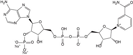 NADP(raw material)    <span>β-Nicotinamide Adenine Dinucleotide Phosphate Disodium Salt (oxidized form)</span>