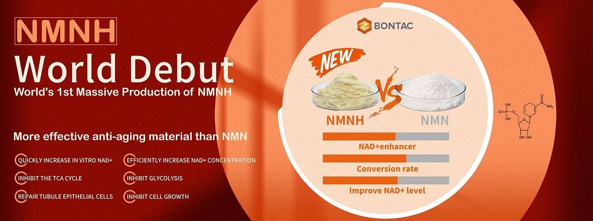 BONTAC NMNH