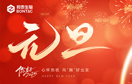 元旦快乐！2025，心怀热枕，向“酶”好出发