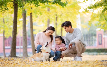 照亮宠物健康晚年的新希望——NAD+的科学探索