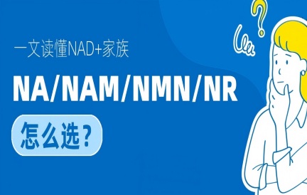 一文读懂NAD+家族：NA、NAM、NMN、NR等 “抗衰选手” 到底怎么选？