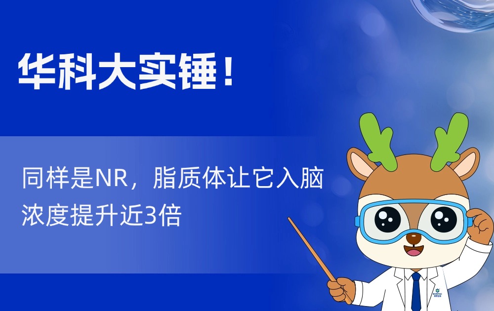 华科大实锤！同样是NR，脂质体让它入脑浓度提升近3倍