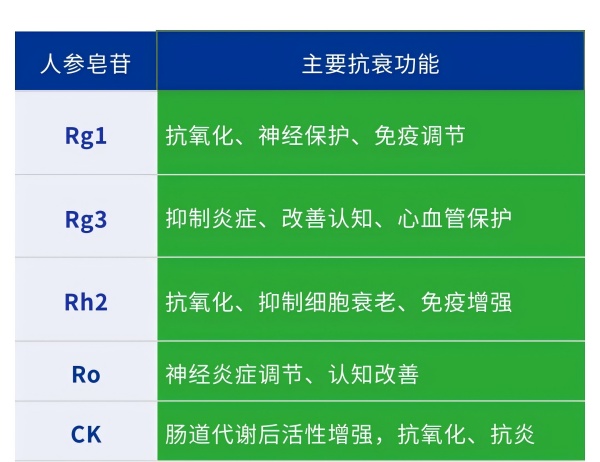 人参皂苷功能 (1).jpg