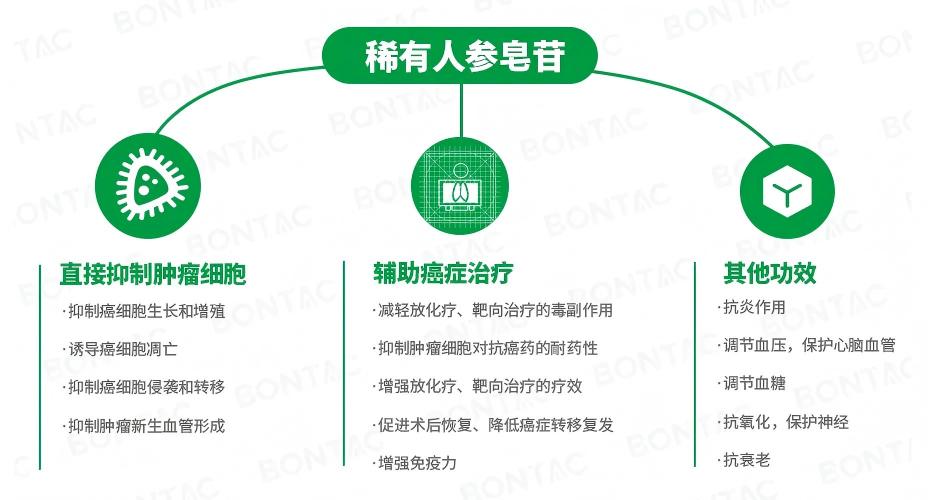 稀有人参皂苷作用(1).jpg