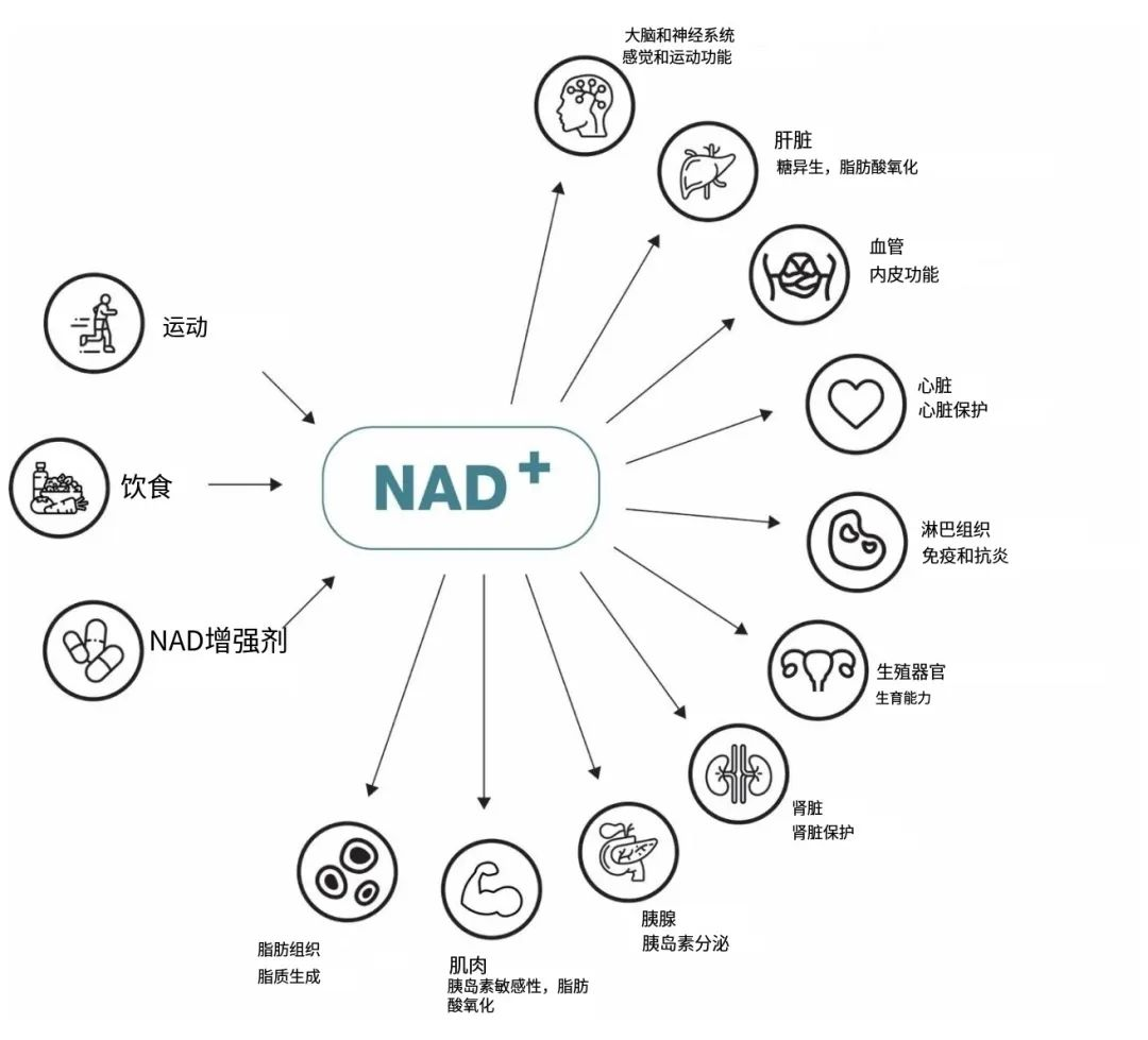 1760166393.png 1760166393.png