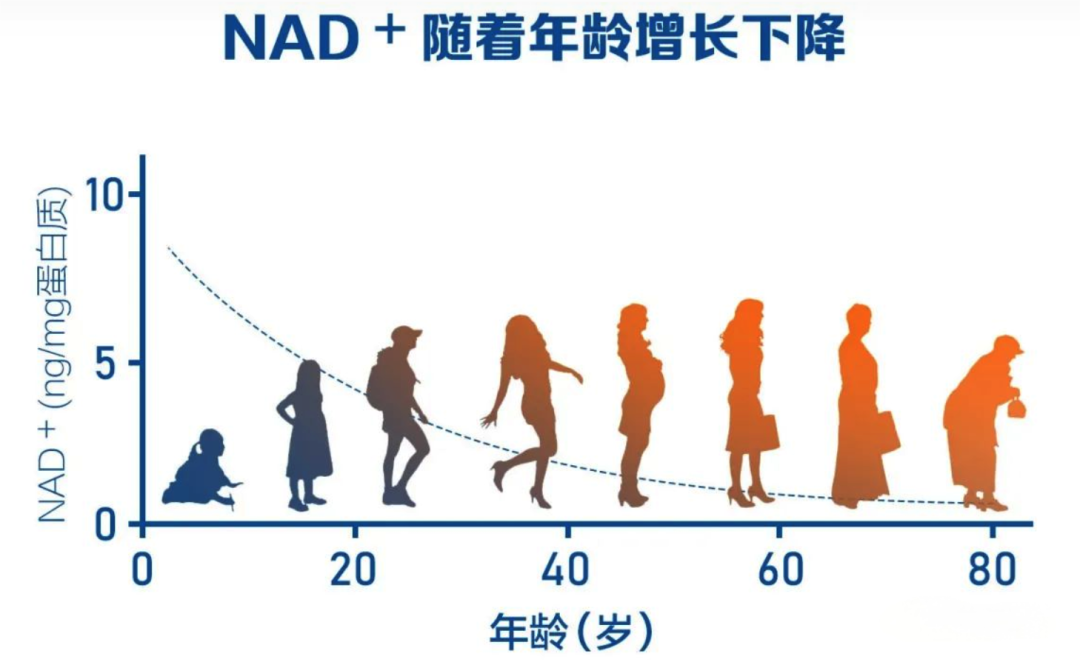 1760166413.png 1760166413.png