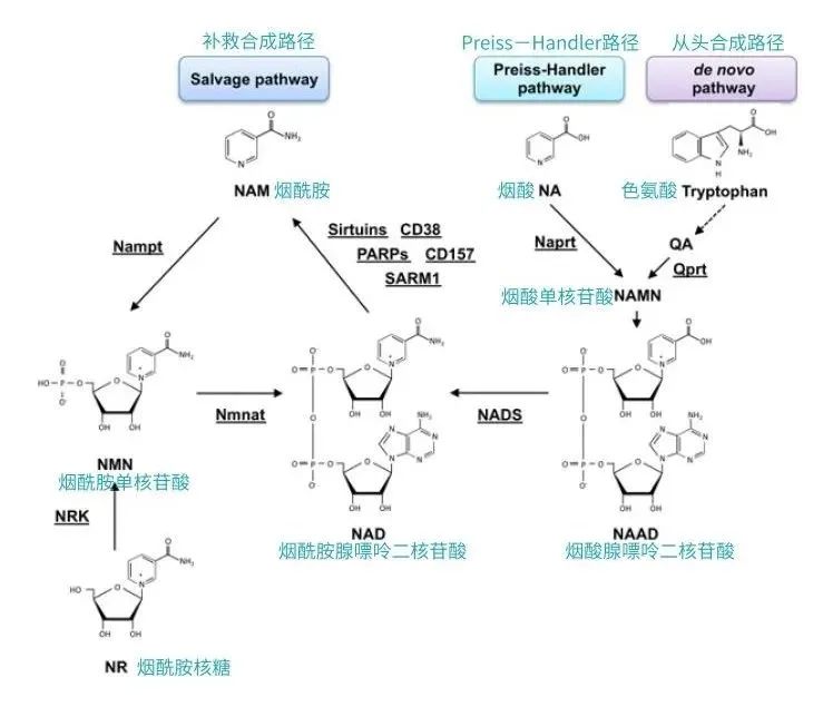 1760166454.jpg 1760166454.jpg