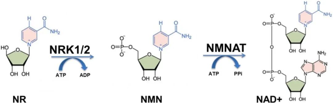 1760166475.jpg 1760166475.jpg