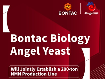 Bontac and Angel Yeast set up a joint venture company to jointly push NMN production