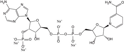 NADPH（原料）    <span>β-烟酰胺腺嘌呤二核苷酸磷酸四钠盐（还原型）</span>