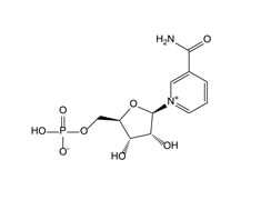 NMN    <span>β-烟酰胺单核苷酸</span>