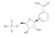 NMN    <span>β-Nicotinamide Mononucleotide</span>