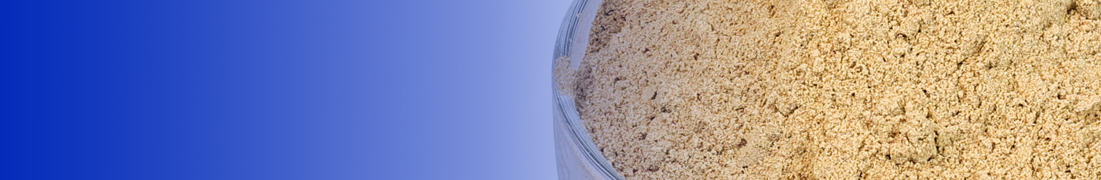 The first enzymatic mass production of ginsenosides in China