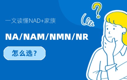 一文读懂NAD+家族：NA、NAM、NMN、NR等 “抗衰选手” 到底怎么选？