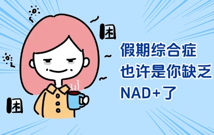 假期综合症人群必看，别硬扛，可能是你的“能量货币”NAD+告急了