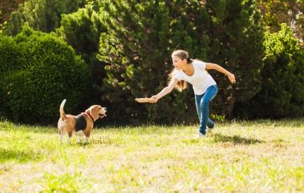 宠主必看！犬类补NMN真的安全吗？最新实验数据打破争议！