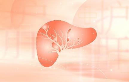 肝脏切 2/3 能再生？线粒体 NAD+，才是再生关键！