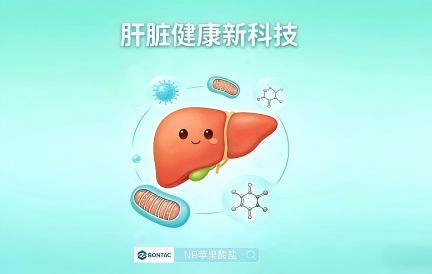 “肝王”养成秘籍：科研实锤，NRHM让肝脏修复效率翻倍！