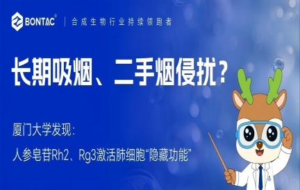 长期吸烟、二手烟侵扰？厦门大学实锤：人参皂苷Rh2、Rg3，激活肺细胞“隐藏功能”