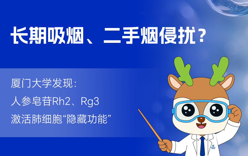 长期吸烟、二手烟侵扰？厦门大学实锤：人参皂苷Rh2、Rg3，激活肺细胞“隐藏功能”