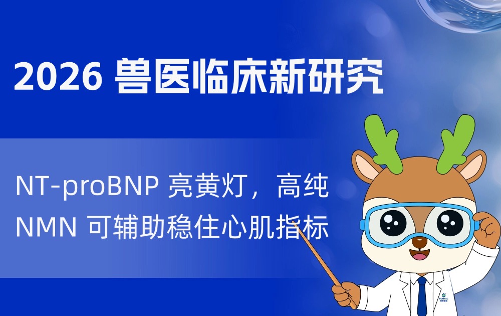 2026 兽医临床新研究：NT-proBNP 亮黄灯，高纯 NMN 可辅助稳住心肌指标