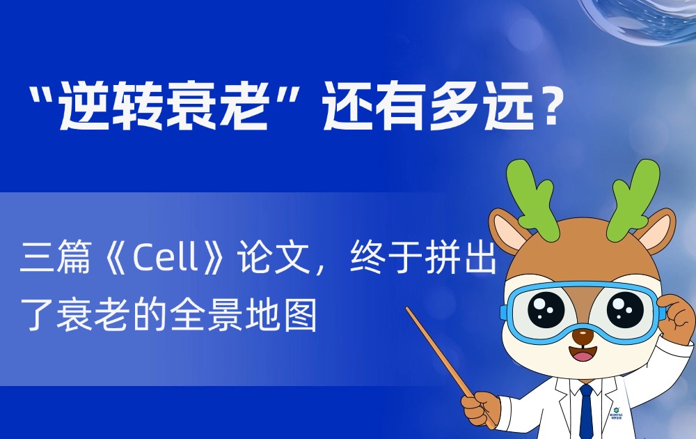 我们离“逆转衰老”还有多远？三篇《Cell》论文，终于拼出了衰老的全景地图