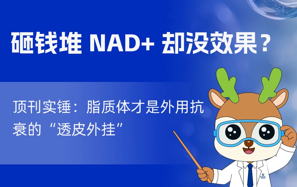 砸钱堆 NAD+ 却没效果？顶刊实锤：脂质体才是外用抗衰的“透皮外挂”