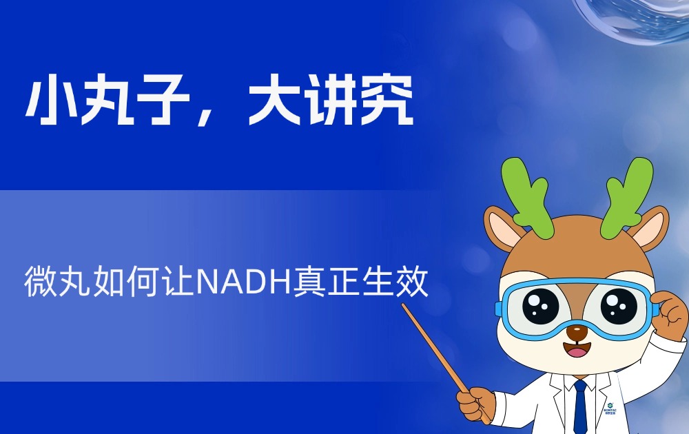 小丸子，大讲究——微丸如何让NADH真正生效