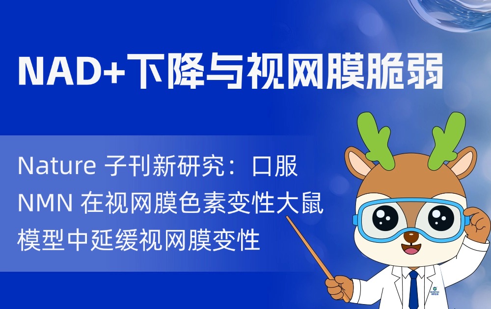 NAD+ 下降，视网膜为何更脆弱？