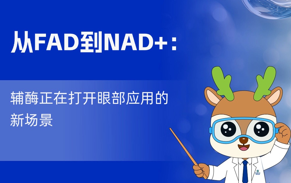 从FAD到NAD+：辅酶正在打开眼部应用的新场景
