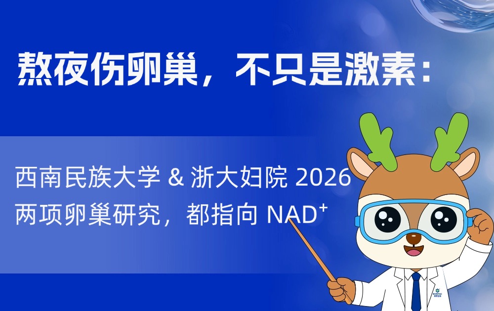 熬夜伤卵巢，不只是激素：2026 两项研究都指向 NAD⁺