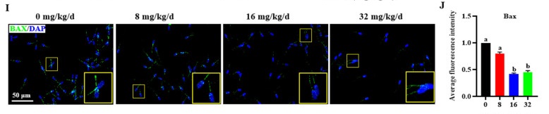 antioxidants-13-00507-g003 (1).jpg