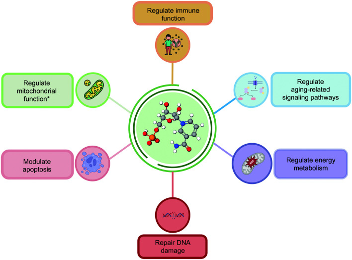 JZhejiangUnivSciB-25-9-723-g002.jpg