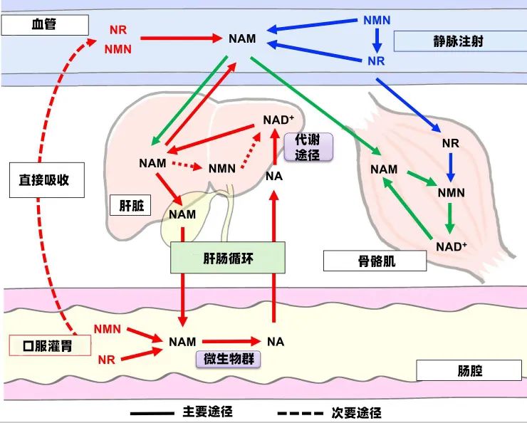 微信图片_20250331022026.jpg