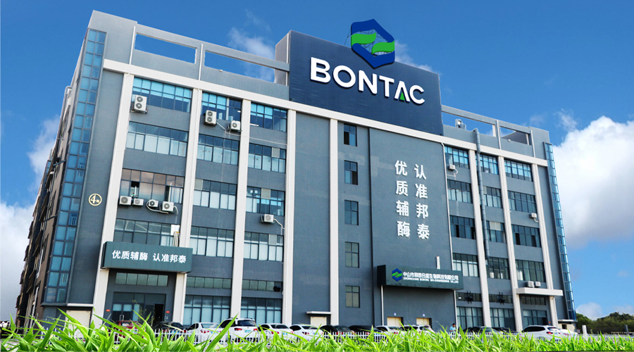 bontac.png
