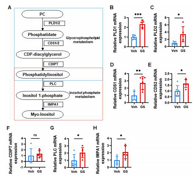 1760165793.png 1760165793.png