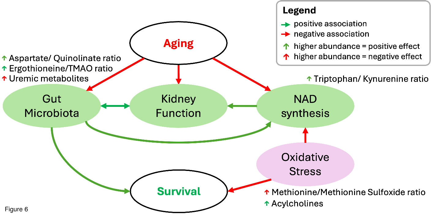 1762843312.png 1762843312.png