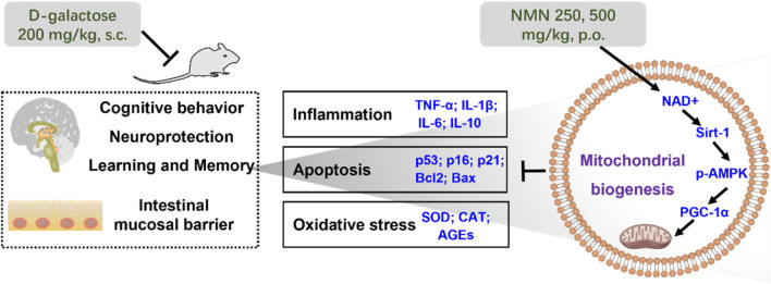 1763347048.png 1763347048.png