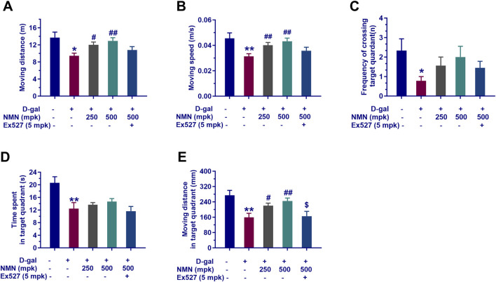 1763347077.png 1763347077.png