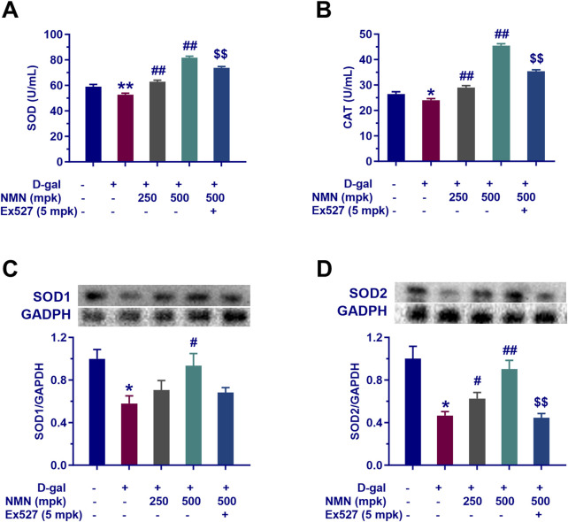 1763347099.png 1763347099.png